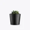 product-image-3_optimized Augue Neque
